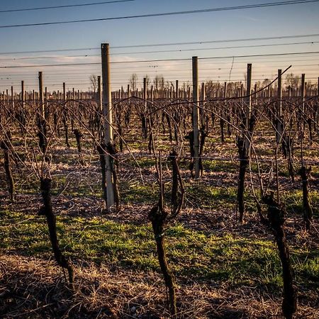 Agriturismo iL CASONE Zoppola Esterno foto